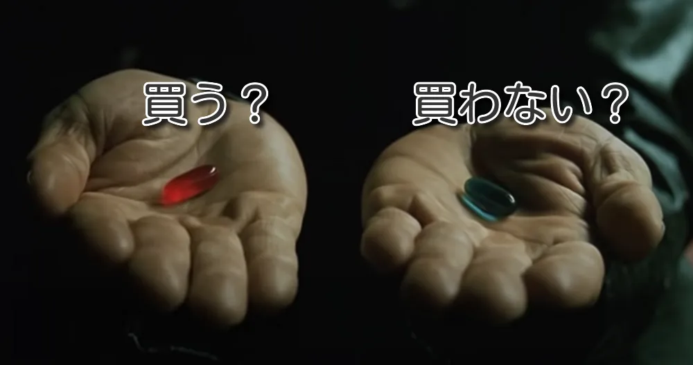 買う?買わない?